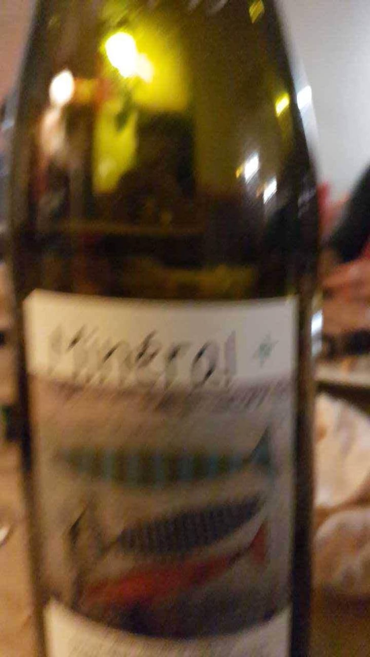 Mineral + - Un Saumon Dans la Loire - Marie Thibault & Frantz Saumon 