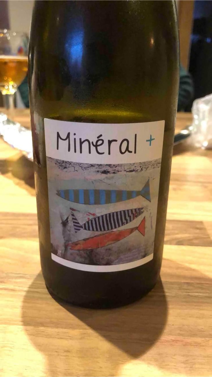 Mineral + - Un Saumon Dans la Loire - Marie Thibault & Frantz Saumon 
