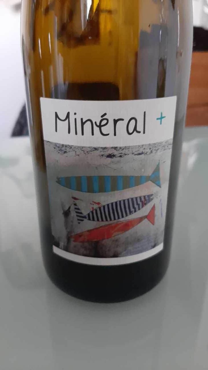 Mineral + - Un Saumon Dans la Loire - Marie Thibault & Frantz Saumon 
