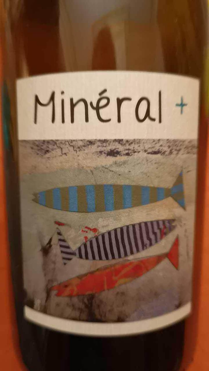 Mineral + - Un Saumon Dans la Loire - Marie Thibault & Frantz Saumon 