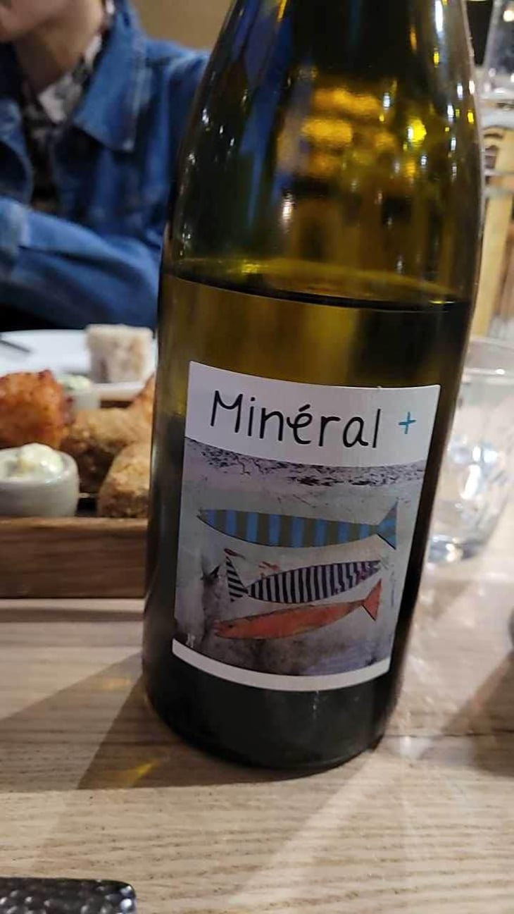 Mineral + - Un Saumon Dans la Loire - Marie Thibault & Frantz Saumon 