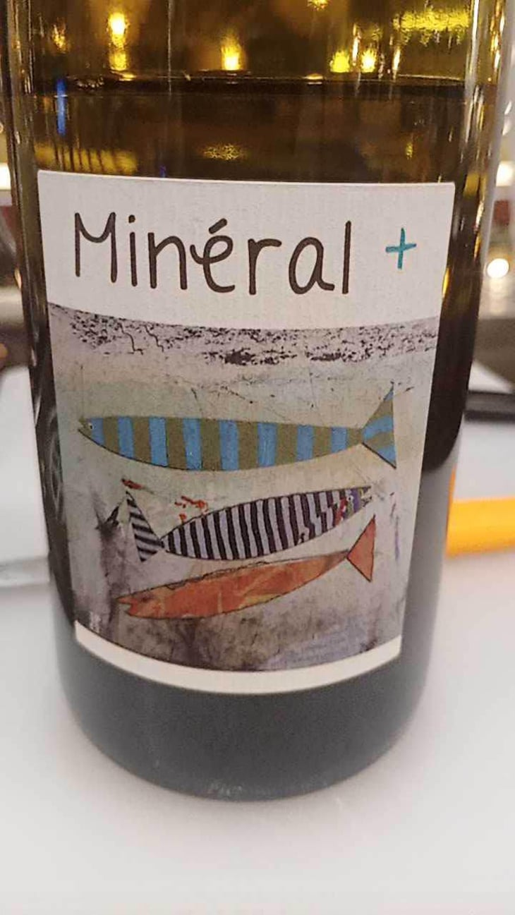 Mineral + - Un Saumon Dans la Loire - Marie Thibault & Frantz Saumon 