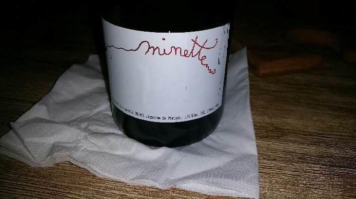 Minette - Francine & François Dhumes - Francine & François Dhumes 