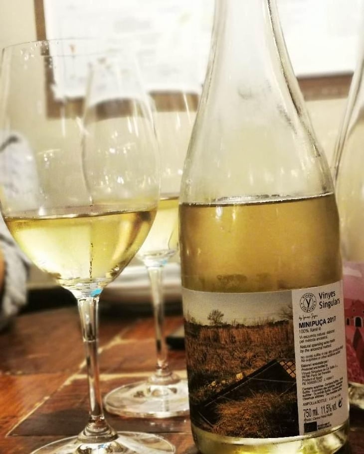 Minipuça - Vinyes Singulars - Ignasi Segui 