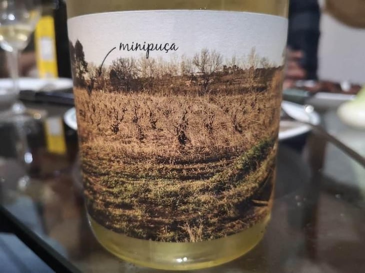 Minipuça - Vinyes Singulars - Ignasi Segui 