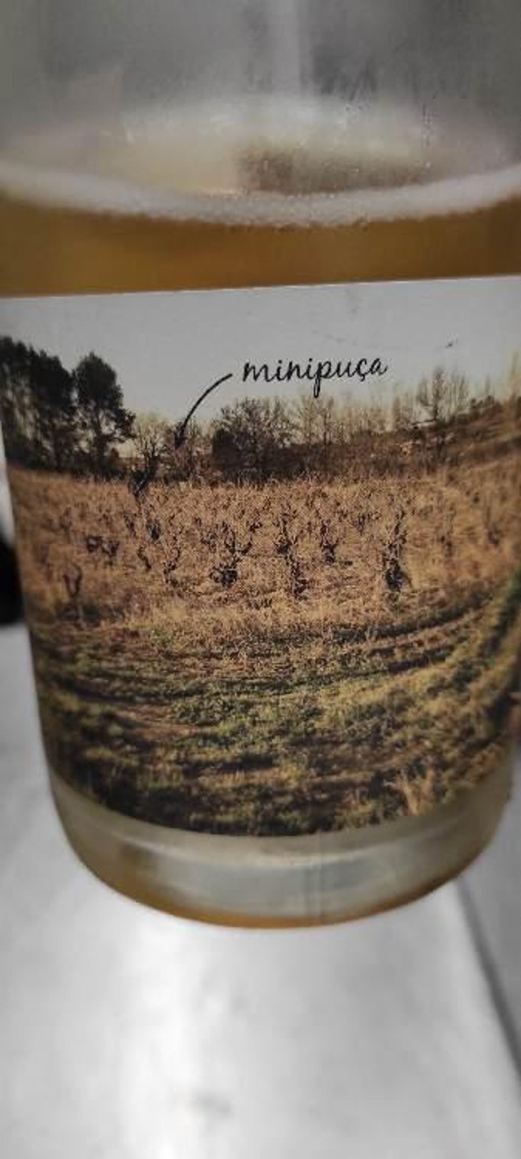 Minipuça - Vinyes Singulars - Ignasi Segui 