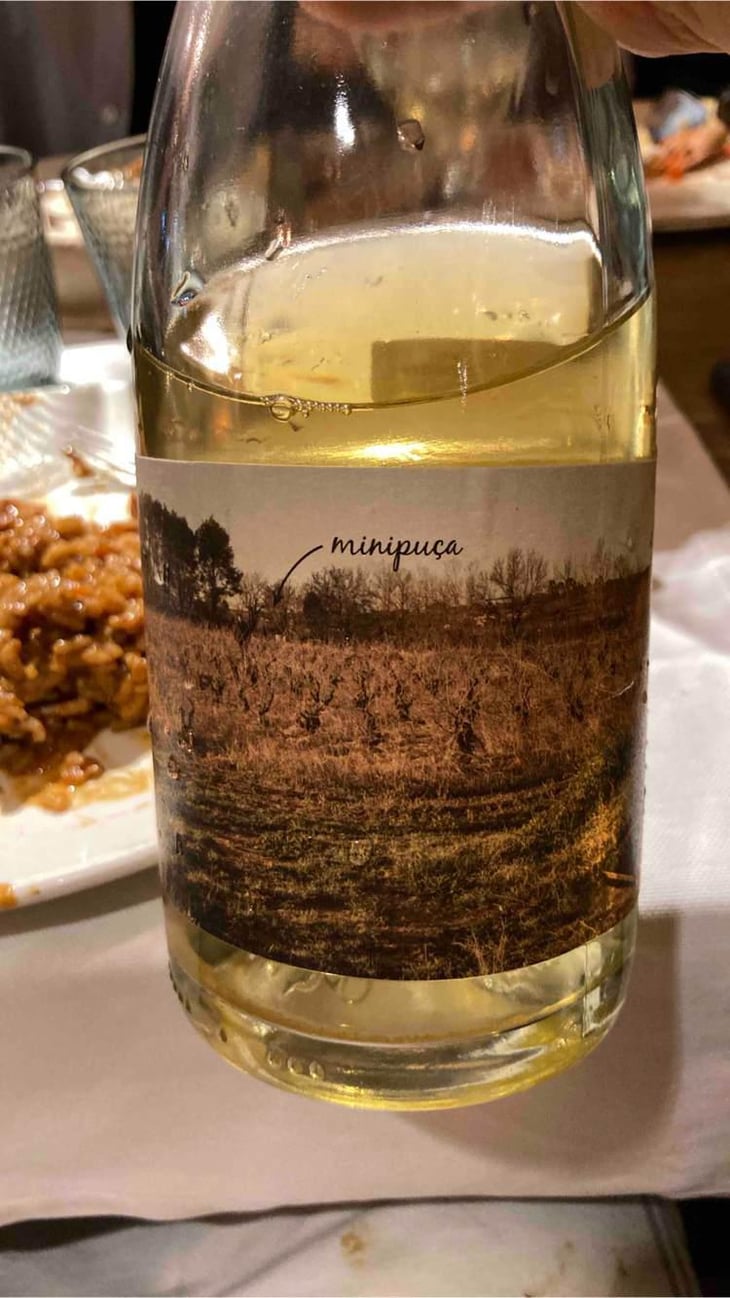 Minipuça - Vinyes Singulars - Ignasi Segui 