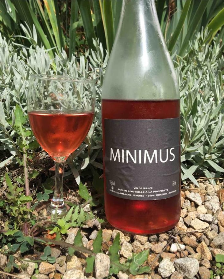 Minimus Rosé - Nicolas Carmarans - Nicolas Carmarans 