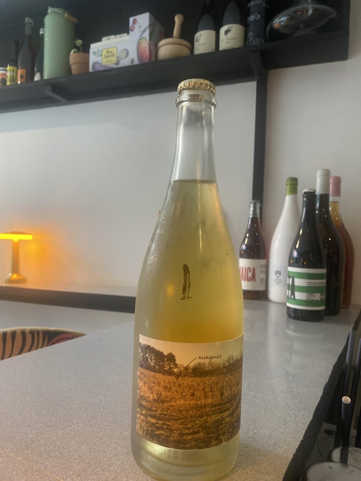 Minipuça - Vinyes Singulars - Ignasi Segui 