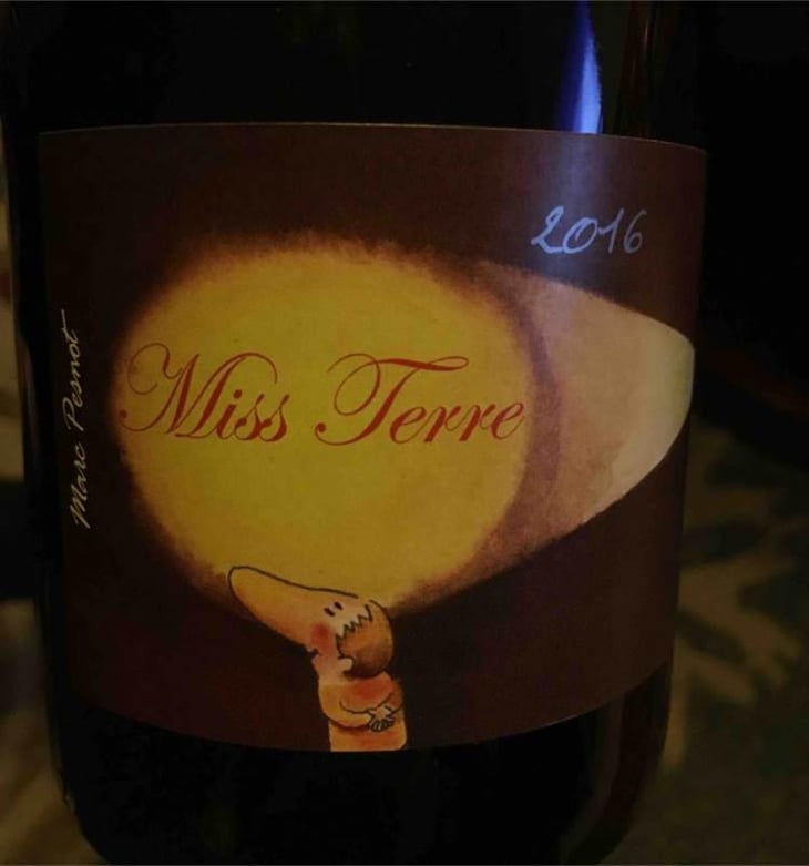 Miss Terre - La Sénéchalière - Ryosuke Furuya (ex Marc Pesnot) 
