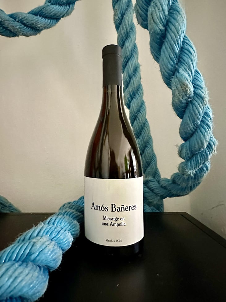 Missatge en una Ampolla - Vinya Oculta - Amós Bañeres 