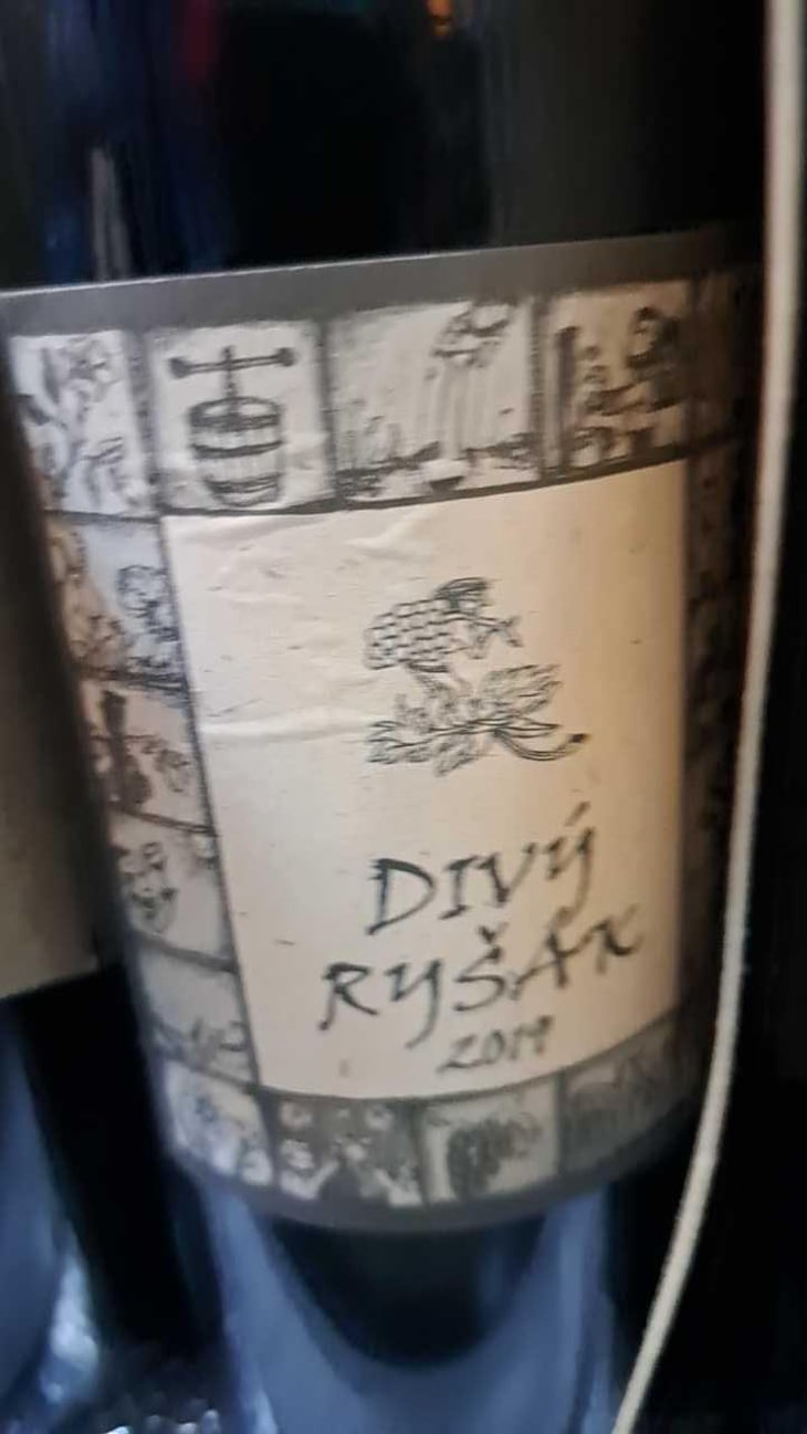 Divy Rysák - Richard Stavek - Richard Stavek 