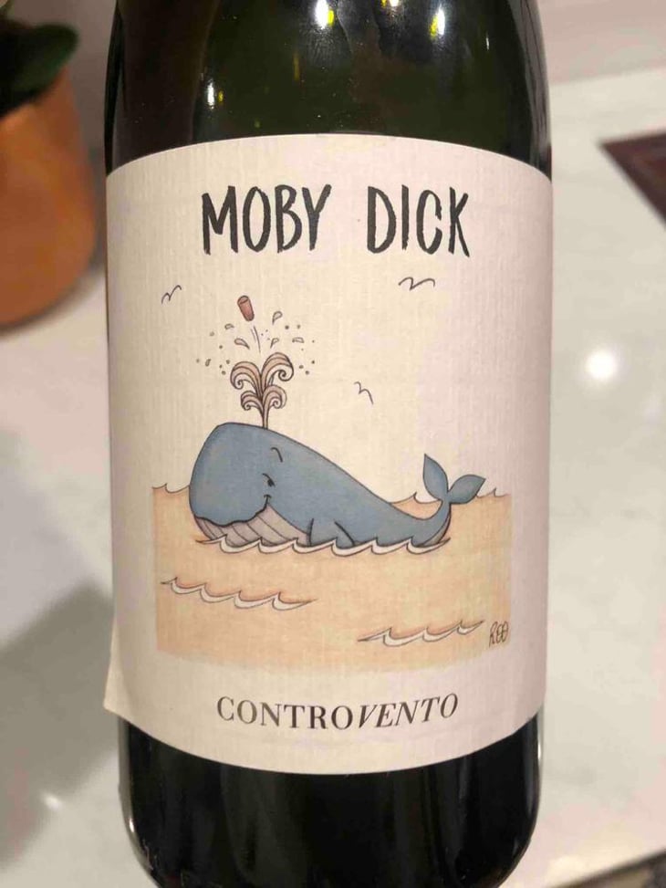 Moby Dick - Controvento - Vincenzo Di Meo 