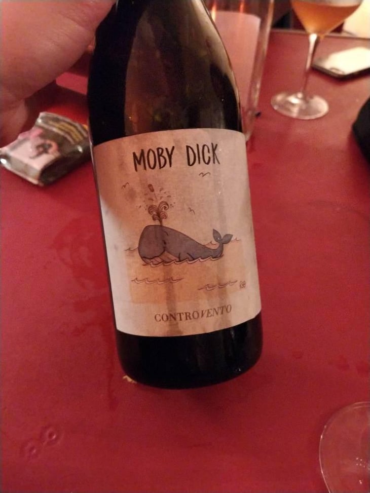 Moby Dick - Controvento - Vincenzo Di Meo 