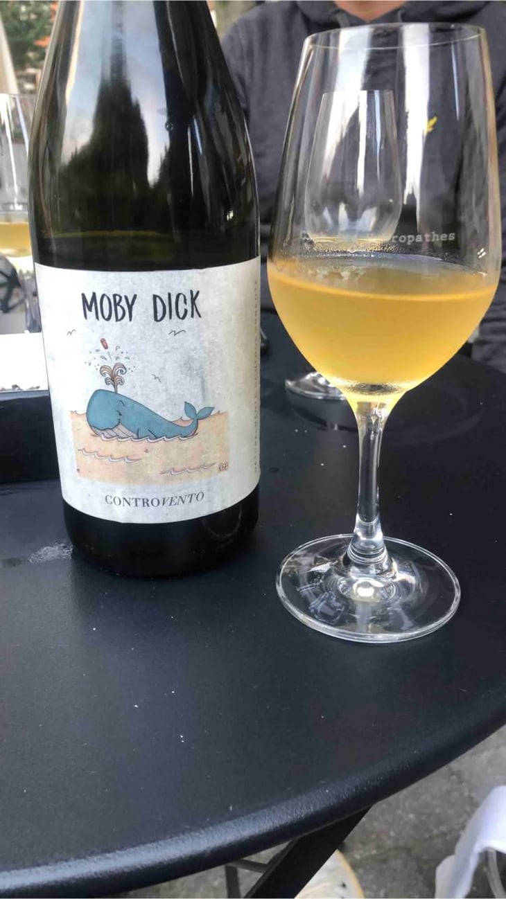 Moby Dick - Controvento - Vincenzo Di Meo 