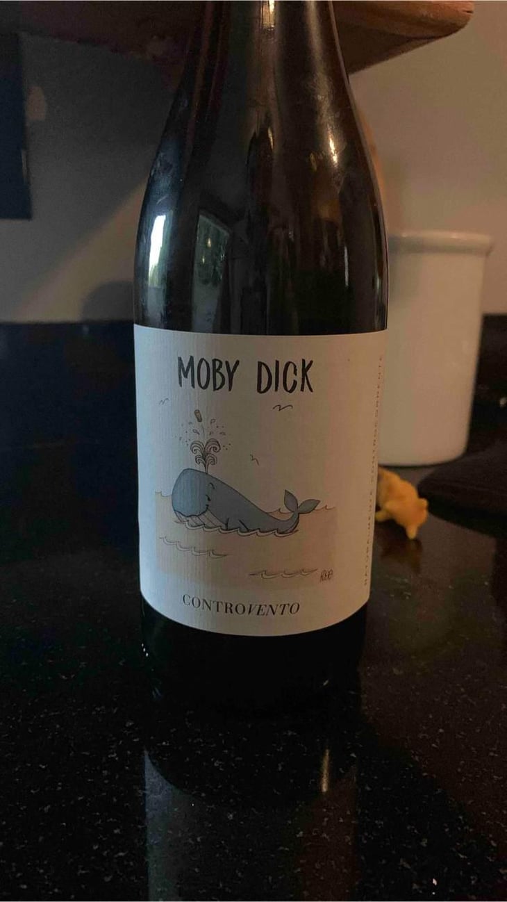 Moby Dick - Controvento - Vincenzo Di Meo 