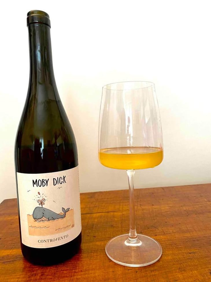 Moby Dick - Controvento - Vincenzo Di Meo 
