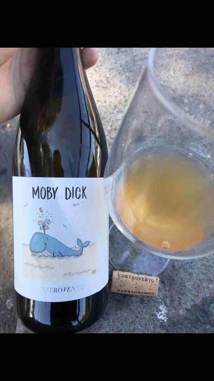 Moby Dick - Controvento - Vincenzo Di Meo 