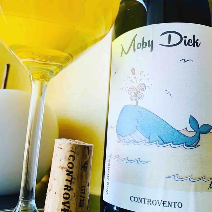 Moby Dick - Controvento - Vincenzo Di Meo 