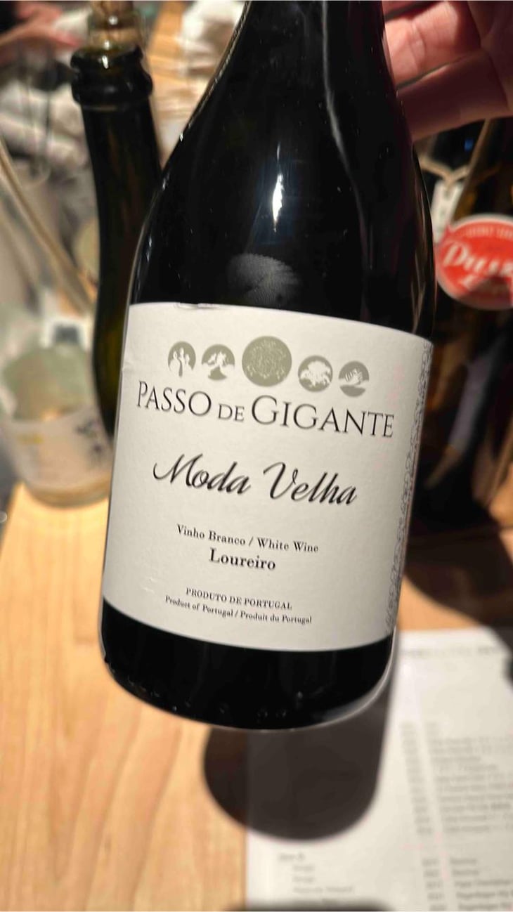 Moda Velha Loureiro - Passo de Gigante - Rui Oliveira e João Pires no Minho -2021
