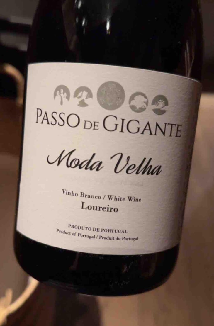 Moda Velha Loureiro - Passo de Gigante - Rui Oliveira e João Pires no Minho -2021