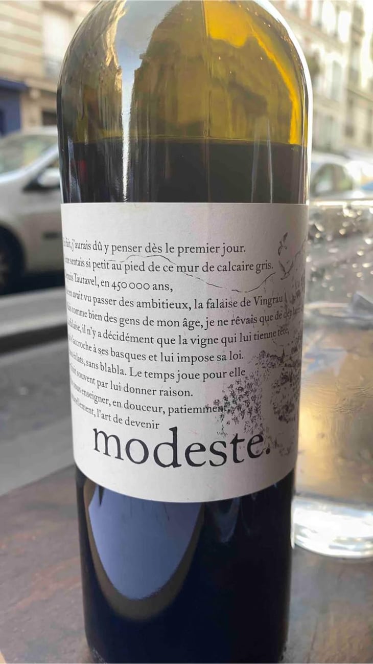 Modeste - Le Clos des Fées - Hervé Bizeul 