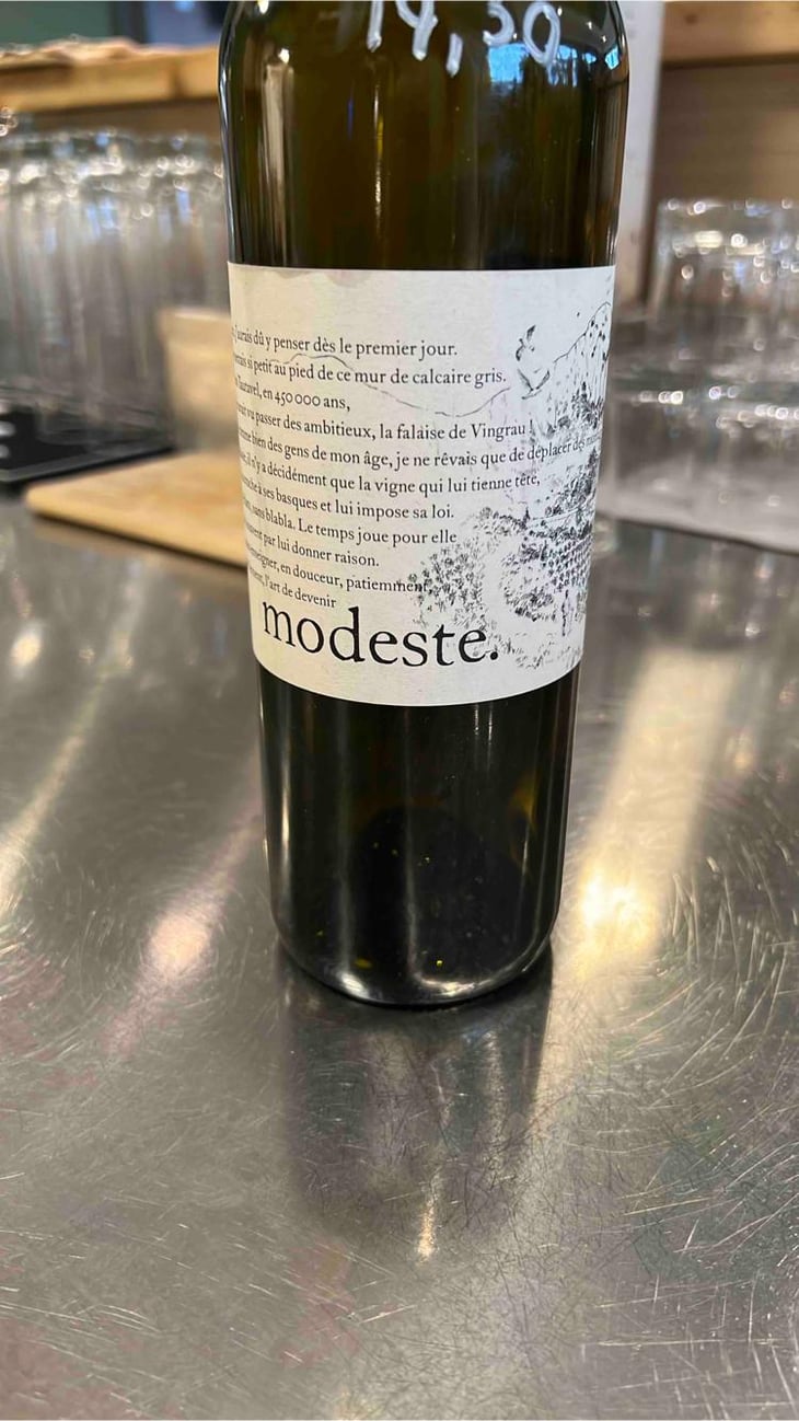 Modeste - Le Clos des Fées - Hervé Bizeul 