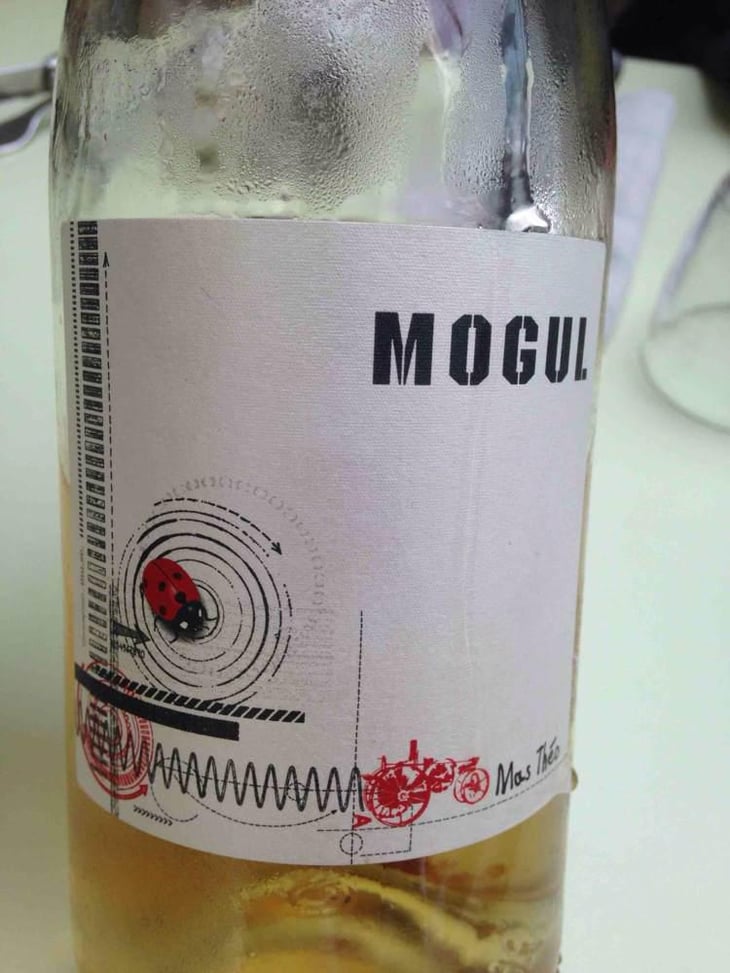 Mogul - Mas Theo - Laurent Clapier 