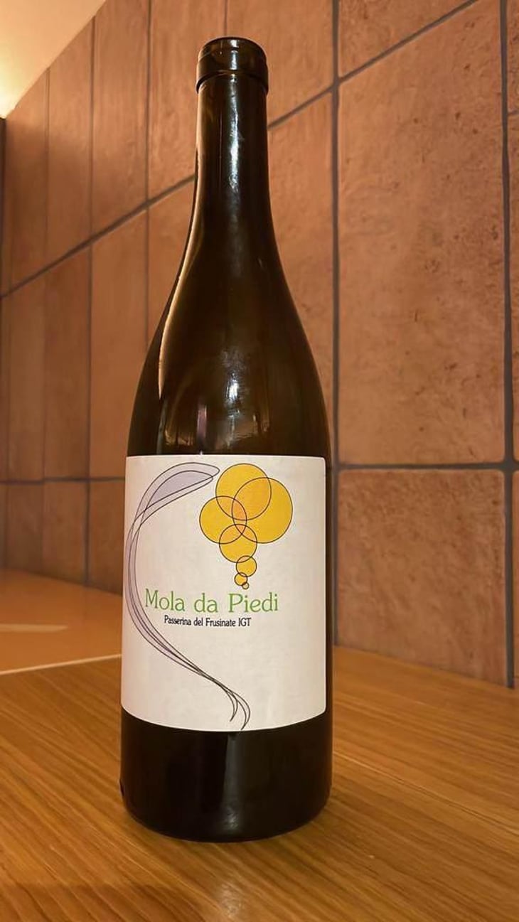 Mola Da Piedi Bianco - Azienda Agricola Maria Ernesta Berucci - Massimi Berucci 
