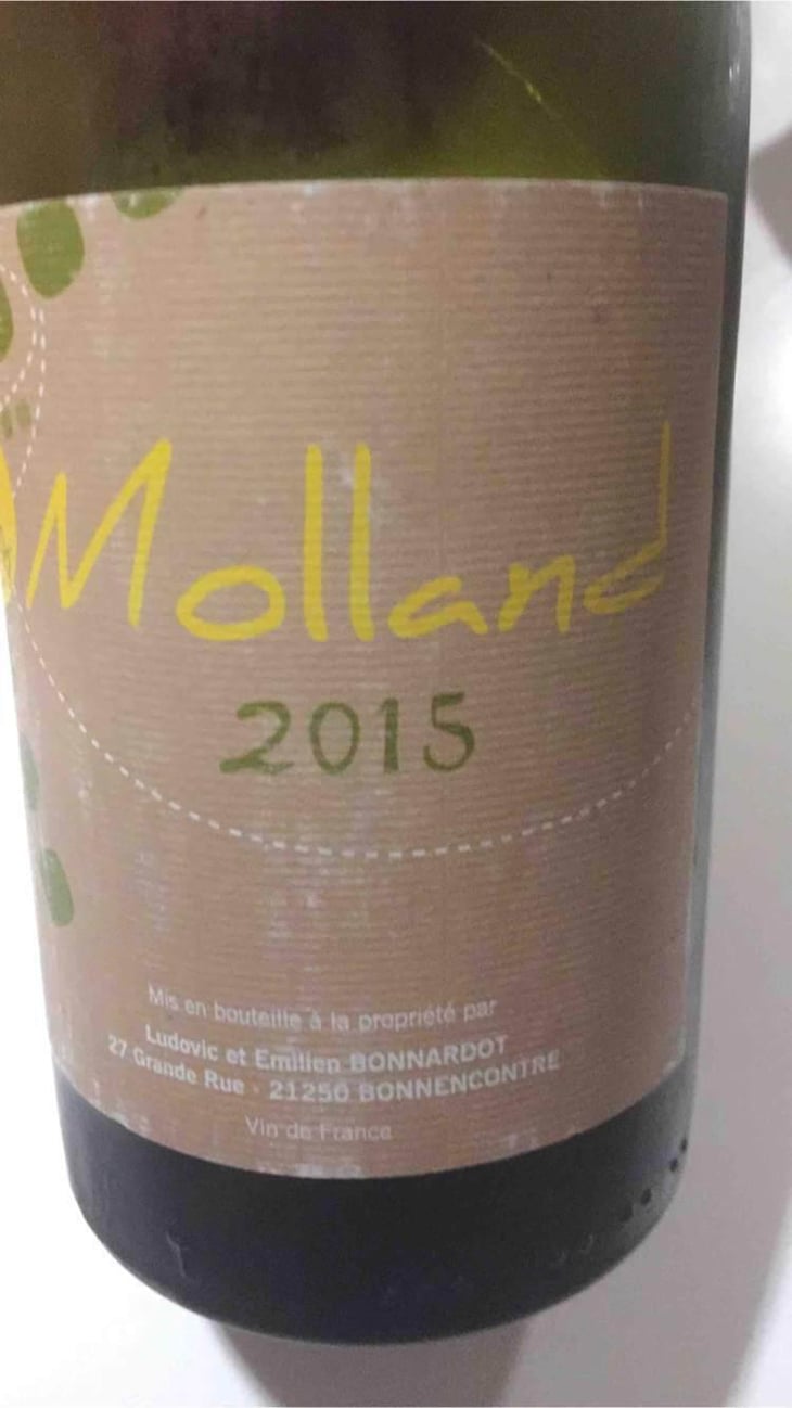 Molland - Domaine Bonnardot - Antoine, Ludovic & Emilien Bonnardot 