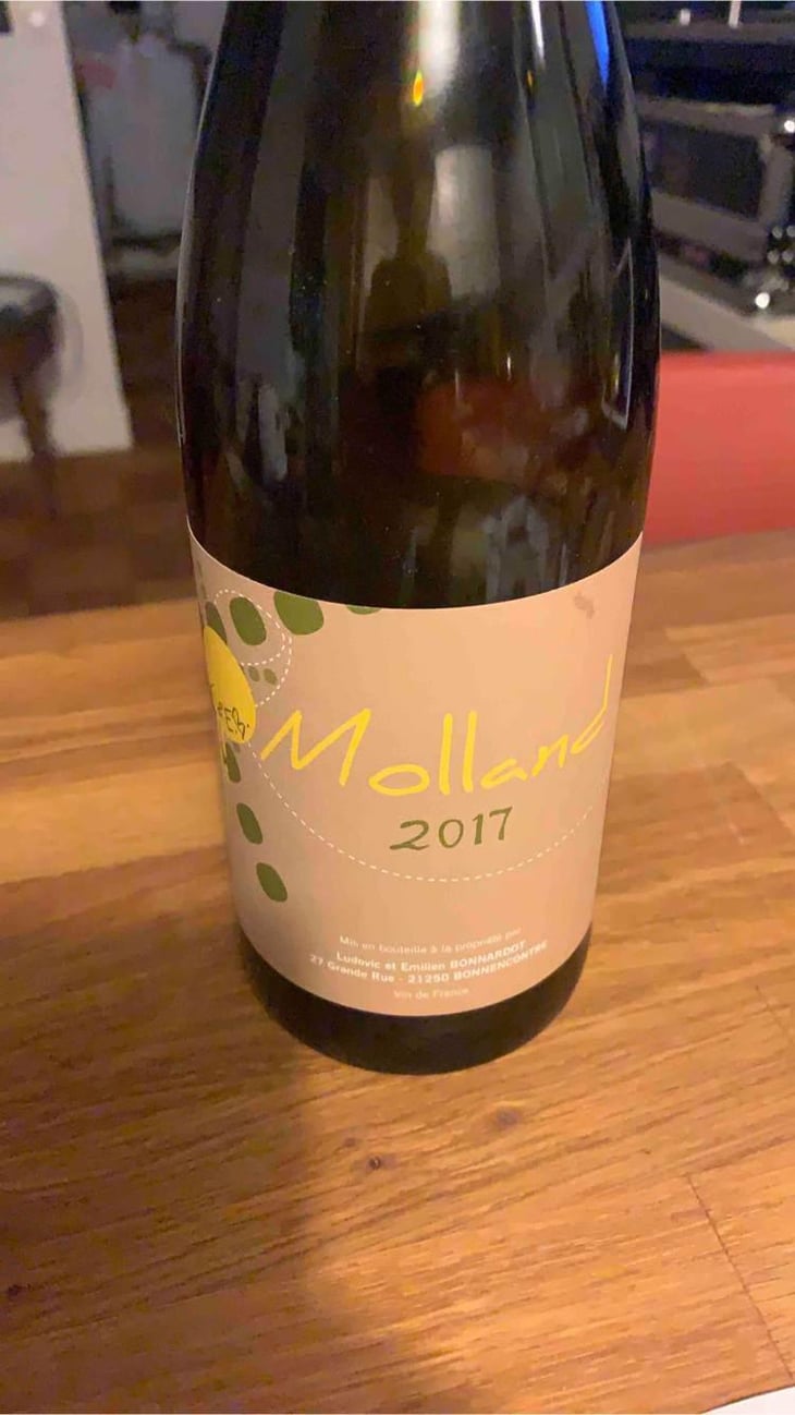 Molland - Domaine Bonnardot - Antoine, Ludovic & Emilien Bonnardot 
