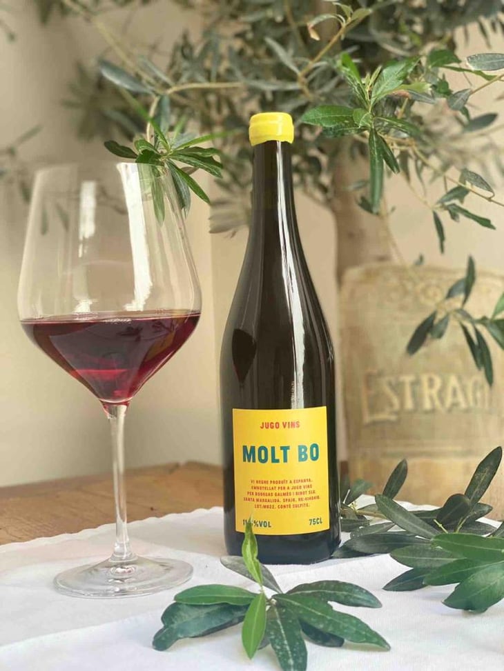 Molt Bo - Jugo Vins - Charlie Prymaka -2021