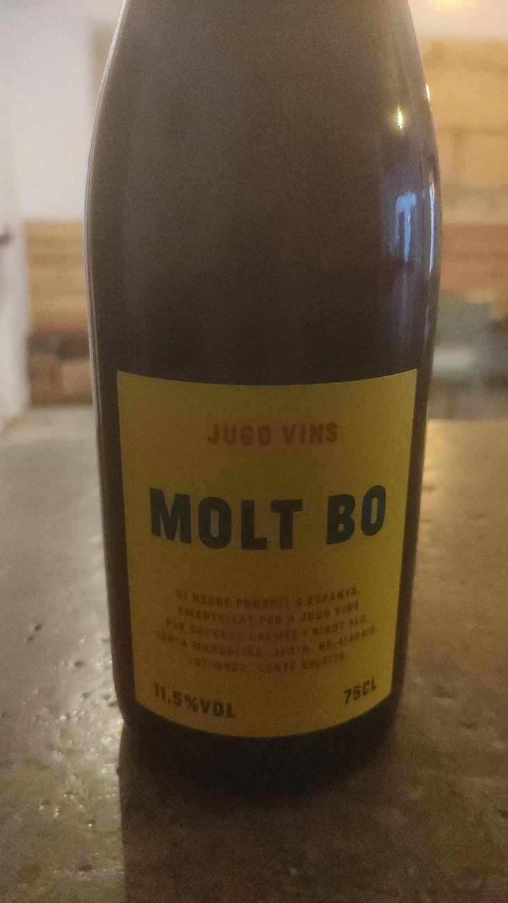 Molt Bo - Jugo Vins - Charlie Prymaka -2021