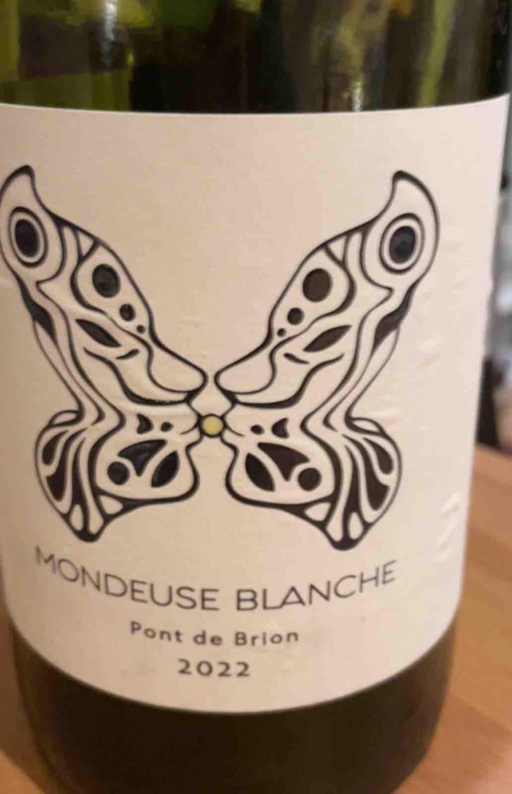 Mondeuse blanche - Domaine Jeremy Bricka - Vins Naturels D'Alp'titude - Jeremy Bricka -2022