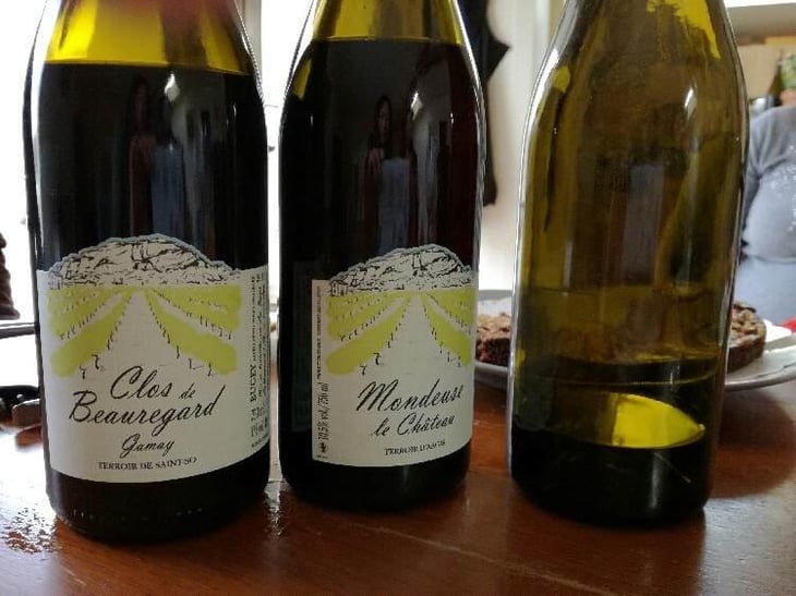Mondeuse le Château - Terroir d’Argis - Les Grangeons de l'Albarine - Luc Bauer 