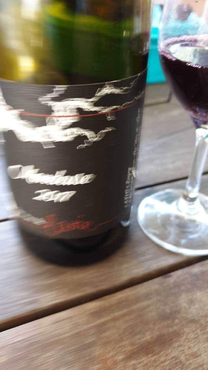 Mondeuse - Les Vins de Lavie (Savoie - until 2020) - Guillaume Lavie (Savoie - until 2020) 