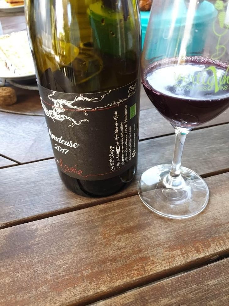 Mondeuse - Les Vins de Lavie (Savoie - until 2020) - Guillaume Lavie (Savoie - until 2020) 