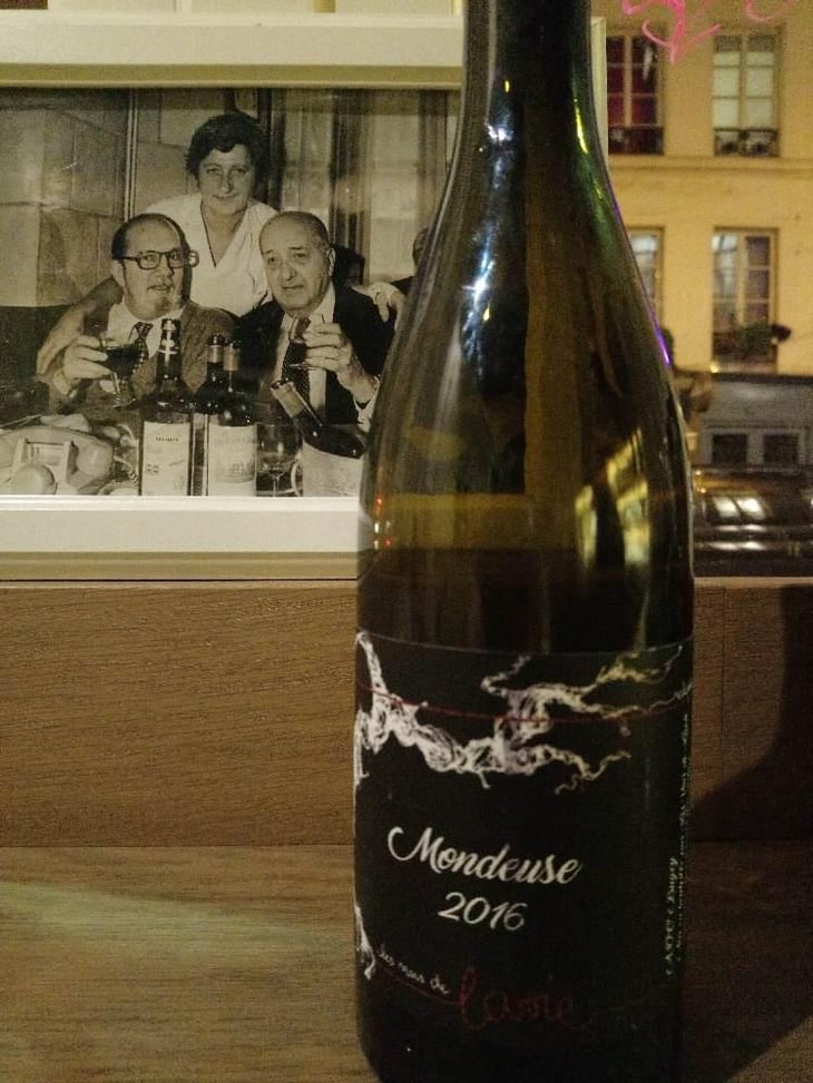 Mondeuse - Les Vins de Lavie (Savoie - until 2020) - Guillaume Lavie (Savoie - until 2020) 