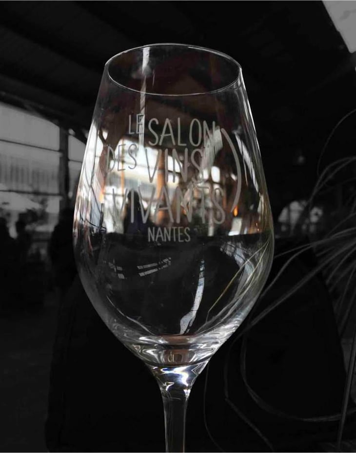 Mondeuse - Les Vins de Lavie (Savoie - until 2020) - Guillaume Lavie (Savoie - until 2020) 