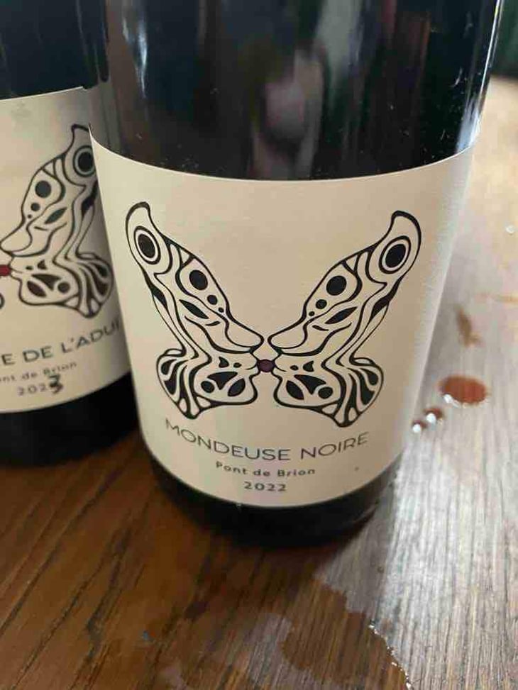 Mondeuse Noire - Domaine Jeremy Bricka - Vins Naturels D'Alp'titude - Jeremy Bricka -2020