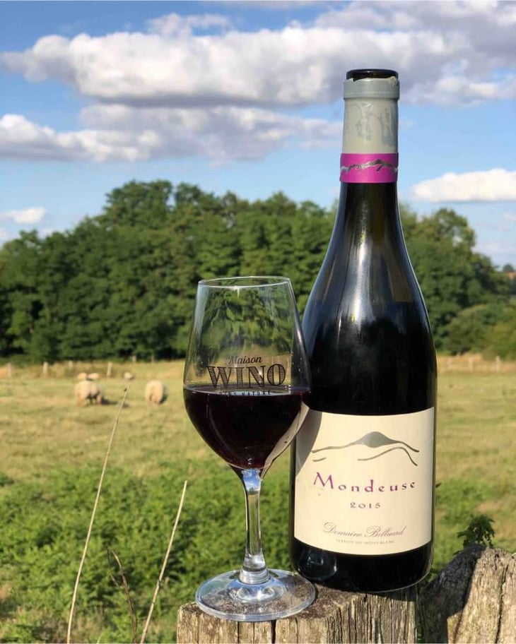 Mondeuse - Domaine Belluard (CLOSED) - Dominique Belluard (CLOSED) 