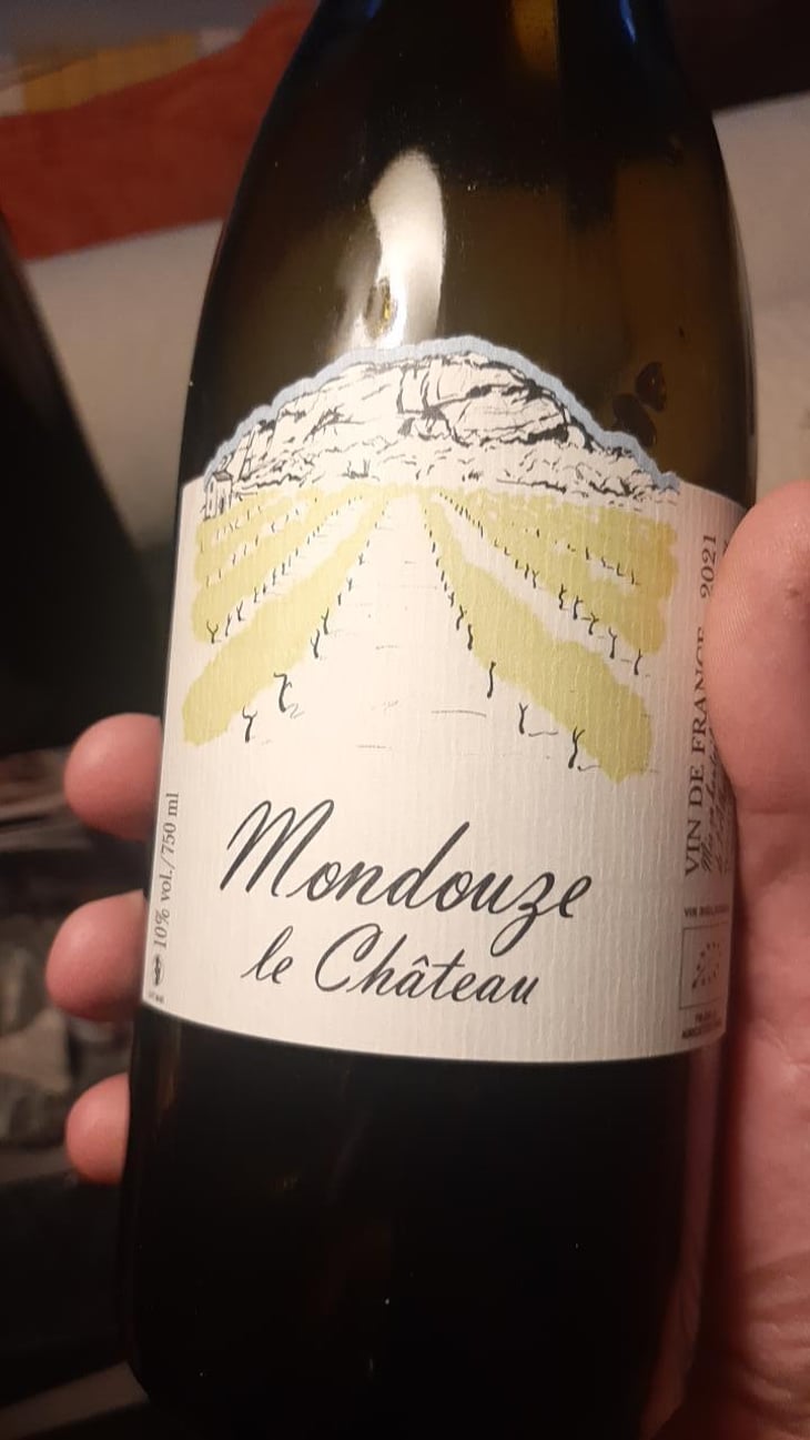 Mondouze Le chateau - Les Grangeons de l'Albarine - Luc Bauer 