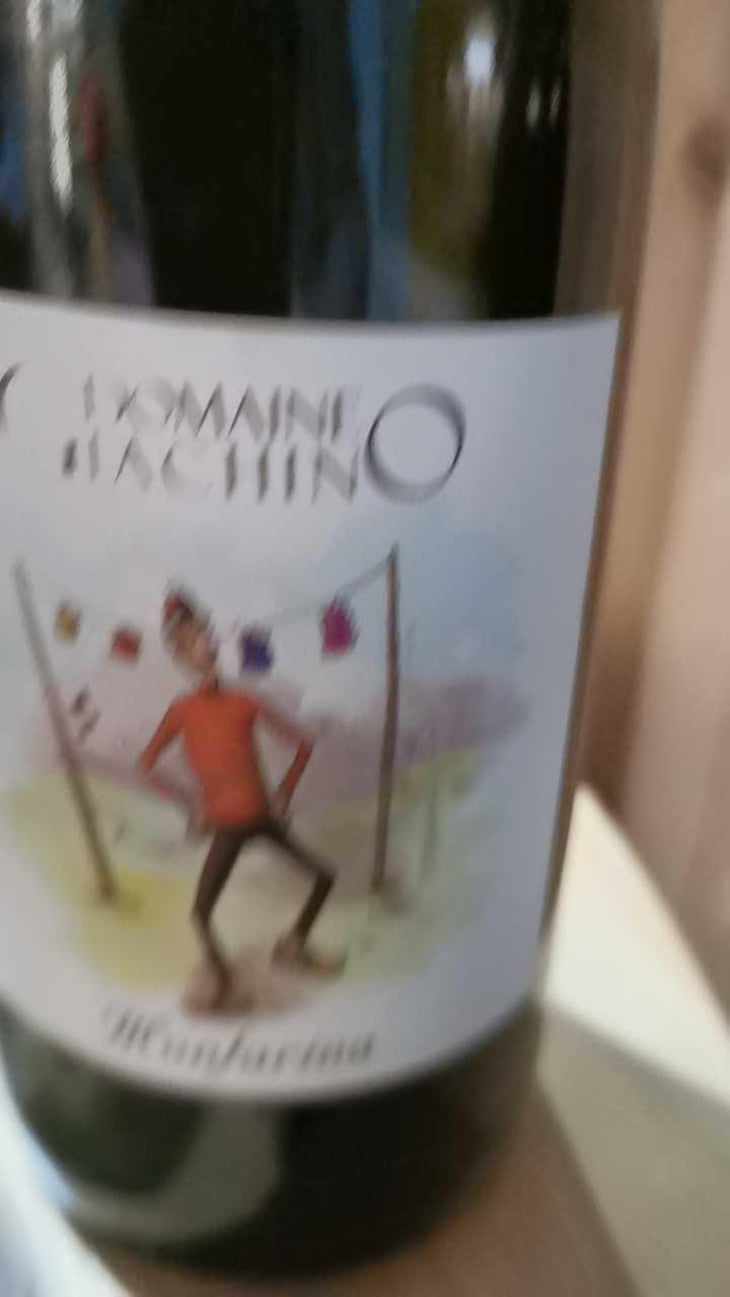 Monfarina - Domaine Giachino - Frédéric, David & Clément Giachino 