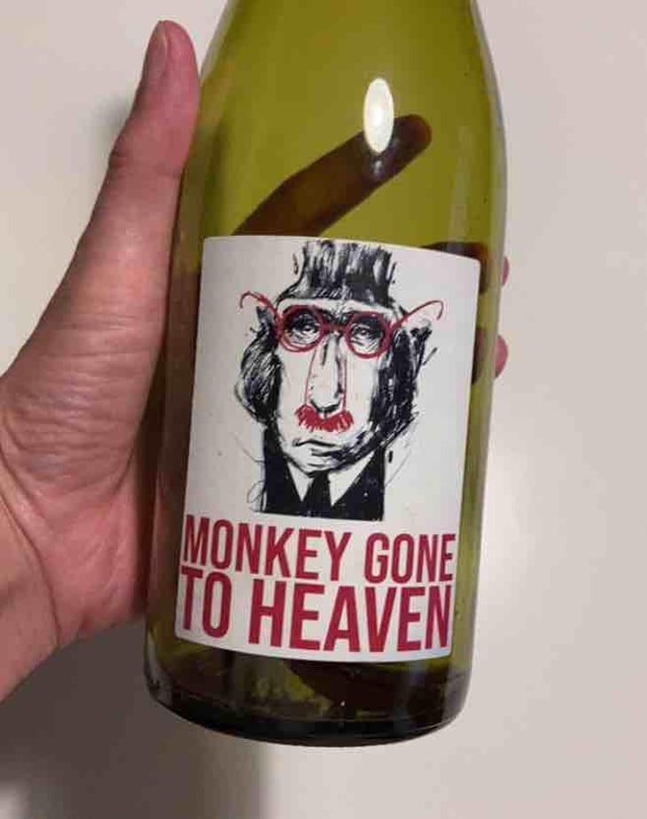Monkey Gone To Heaven - Julien Pineau - Julien Pineau -2022