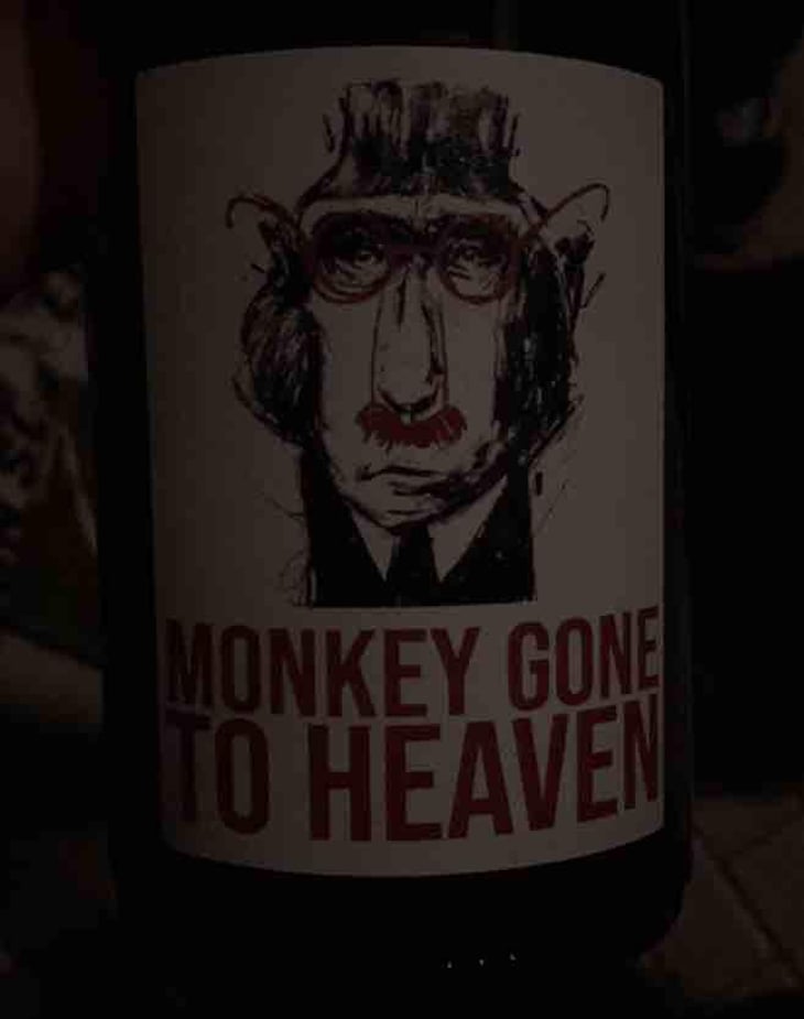 Monkey Gone To Heaven - Julien Pineau - Julien Pineau -2022