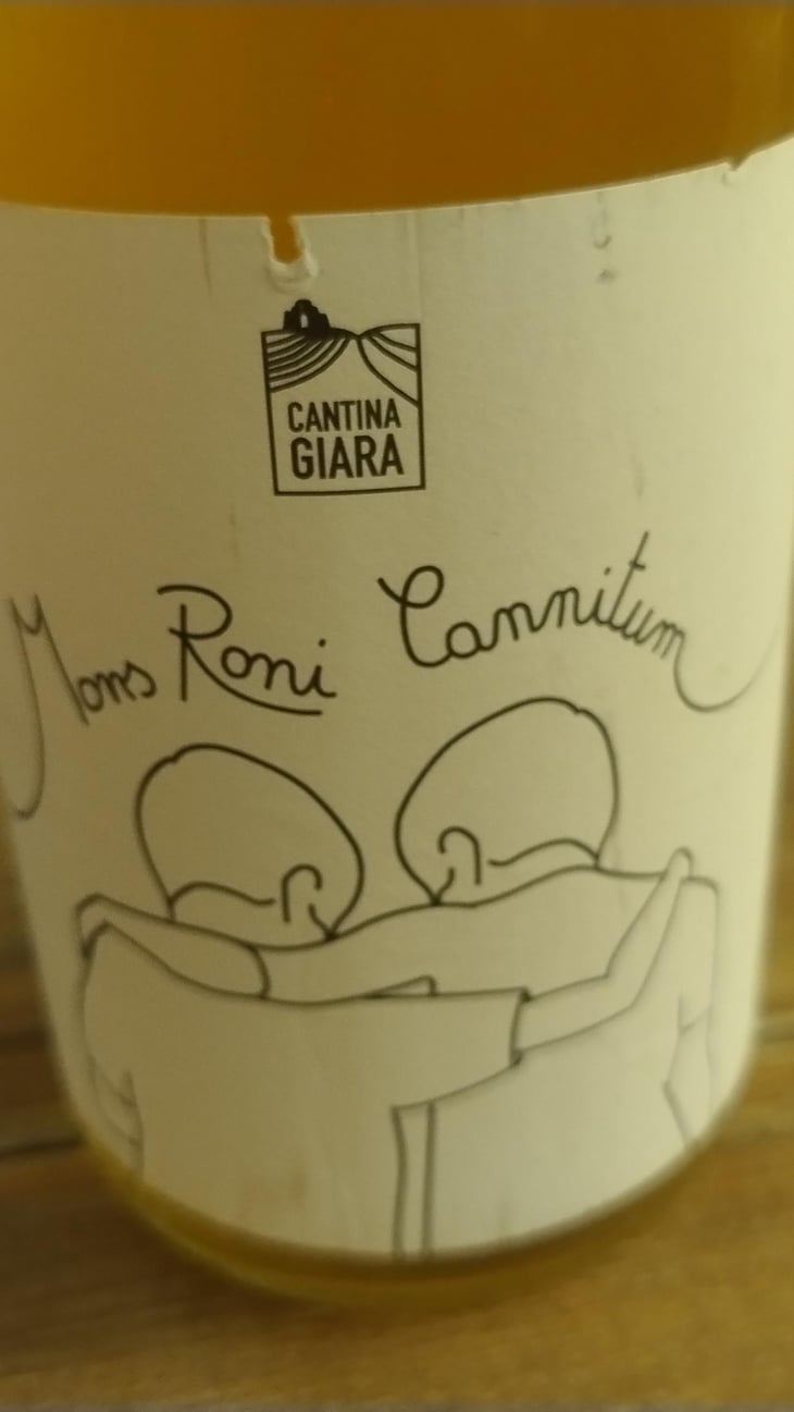 Mons Roni Cannitum - Azienda Agricola Cantina Giara - Giorgio Nicassio 