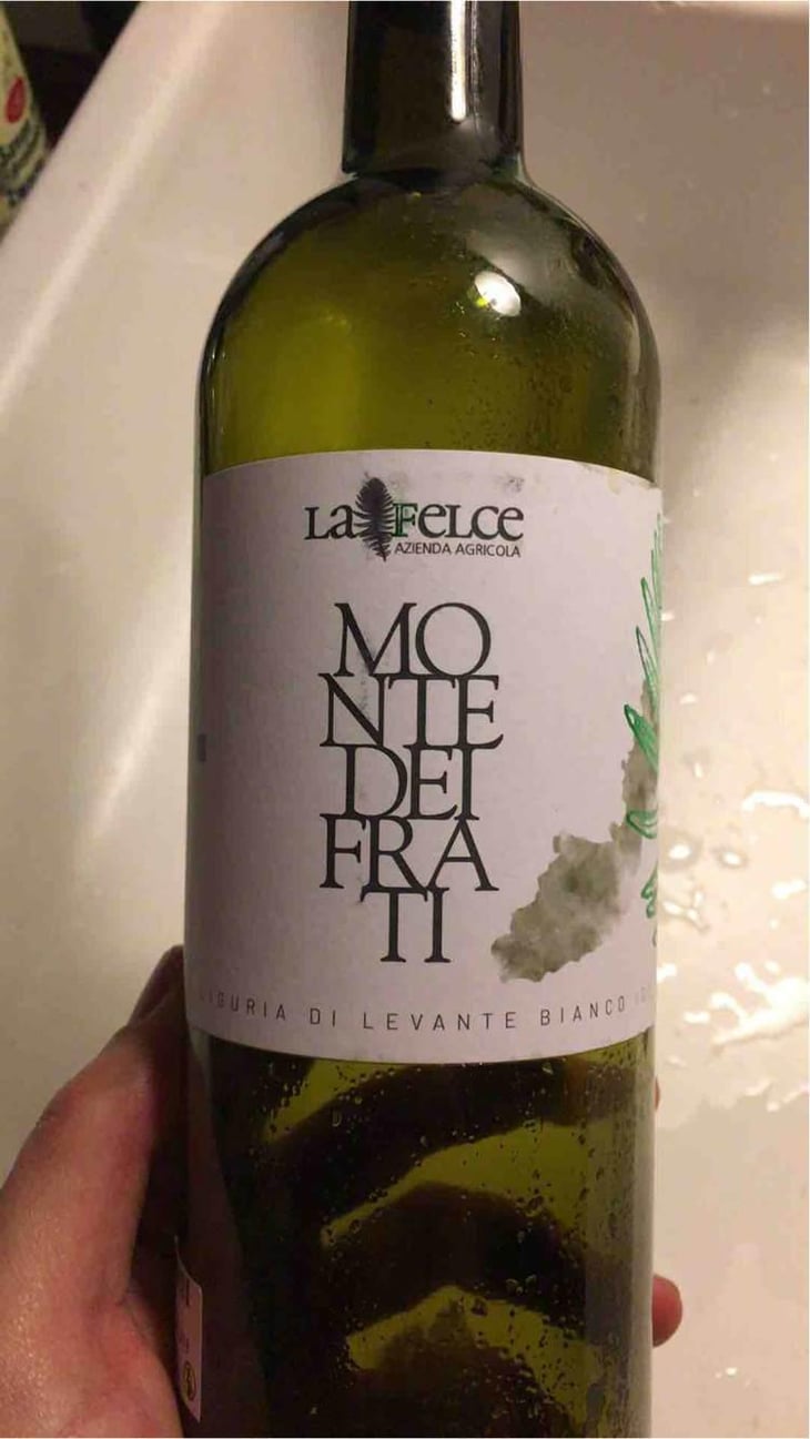 Monte Dei Frati - Le Felce - Andrea Marcesini 