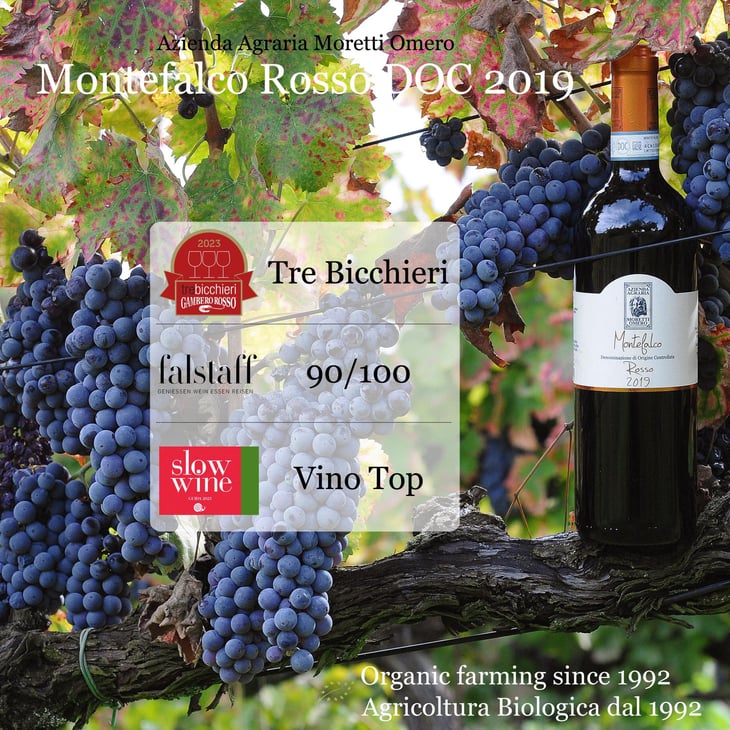 Montefalco - Azienda Agraria Moretti Omero - Moretti Omero 