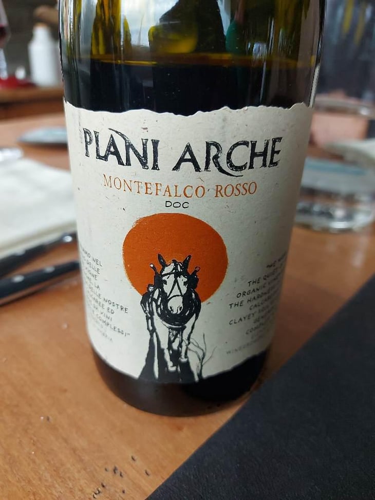 Montefalco Rosso - Plani Arche - Plani Arche -2019