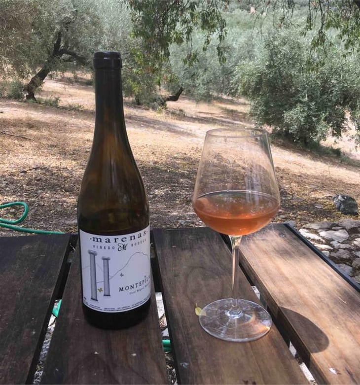 Montepilas - Marenas Viñedo y Bodega - José Miguel Márquez Herrador 